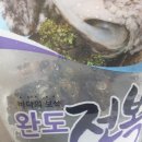완도애 바른전복