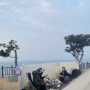 해그라미 이미지