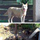 초리농장 이미지