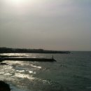 카페산책 이미지