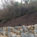 조선대학교병원 이미지