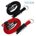 테이온(TEION)