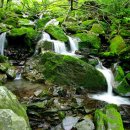 (주)정선산업 - 1173 | (주)정선산업