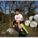 호수 정원 펜션 이미지