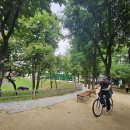 사월동 지석묘군 이미지