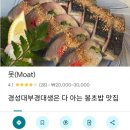 winning dog story's | [부산프렌즈 3기] 9월~12월 미션 후기