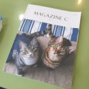 주앤동물병원 이미지