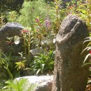 용일농장 이미지