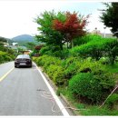 원삼농장 이미지