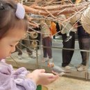 재미있게 | 동탄 실내동물원에서 동물체험 재미있게 다녀온후기