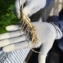 복연농장 이미지