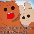 오스타비어 이미지