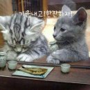 주객 이미지