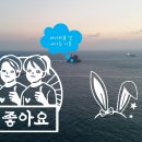 태영 행정사사무소 이미지