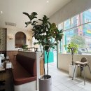 더트리폴리앙 | [내돈내산 리뷰] 목포 남악 맛집추천｜연어하다