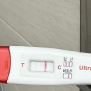 생활자수(야간) | 토마 육아일기 | 임신확인 ~ 12주 이야기 | 아이산 산부인과 | 장칼리혜진산부인과