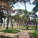 용반마을 이미지