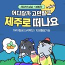 (주)히든렌트카 이미지