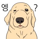 플레이 바우 이미지