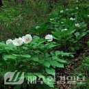 한라전설(주) 이미지