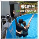 우리네펜션 민박 | 방포 해수욕장 민박 양지펜션, 수영장과 바다를 함께 즐긴 여름휴가