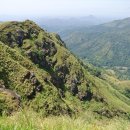 실론농장 이미지