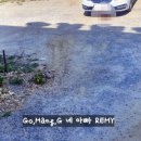 서호동-22 이미지