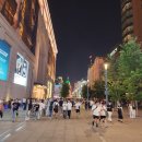 화이트래빗 이미지