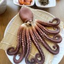 속초팔도전복해물뚝배기 이미지