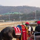 반석목장 | 제 43회 그랑프리 후기 (by 슈퍼 토스카나)