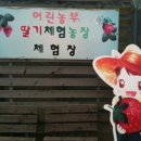 구면농장 이미지