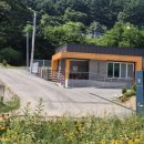 윗대이리 이미지