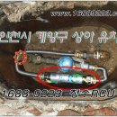 맑은물유치원 이미지