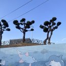 그림목욕탕 | 경주 감포 카페 목욕탕에서 커피를 마신다고? 1925감포 솔직 후기