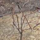 용인에버랜드펜션 이미지