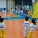 푸름태권도장 이미지