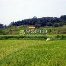 원당리농장 이미지