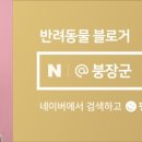 꼬무마켓 네이버블로그