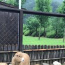 현구농장 이미지