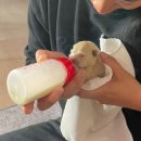 보성약품 이미지