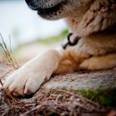 신성수산 이미지