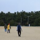 동해파크 이미지