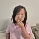 성지농장 | 태추단감 서기네농장