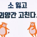 100세 시대!! 건강한 백세는? 이미지