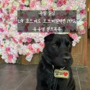 슈슈댕 천안두정점 이미지