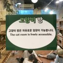 쥬인더시티