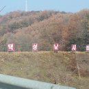 덕성낚시터 이미지