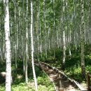 인제03-3 이미지