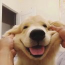 산책약국 이미지