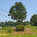 경기둘레길 여주36코스 이미지